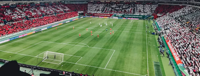 world cup and domestic abuse
